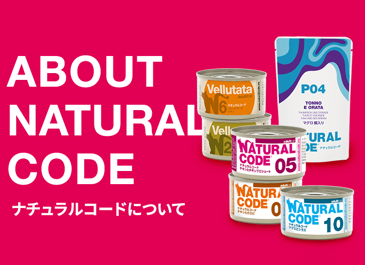 ABOUT Natural Code ナチュラルコードについて