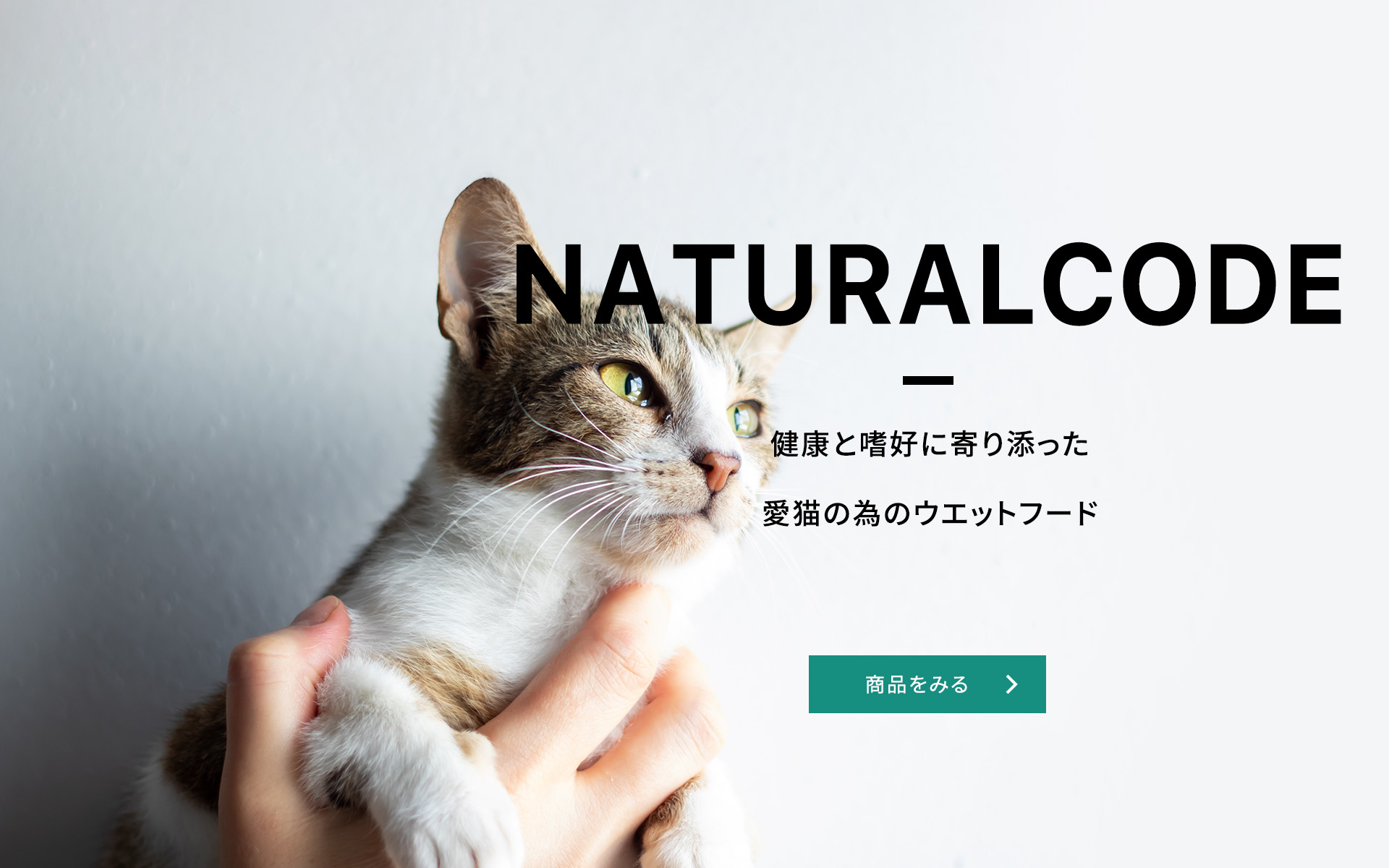 NATURAL CODE