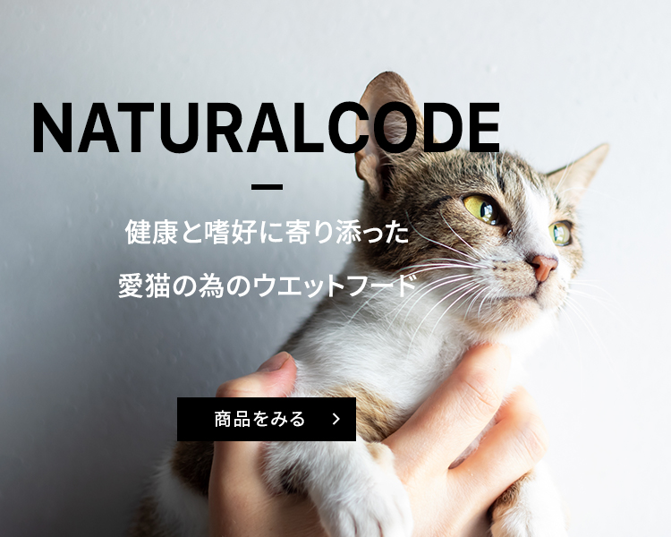 NATURAL CODE