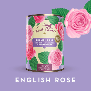 テラカニス フラワーメニュー イングリッシュローズ