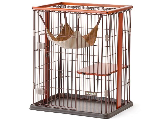ボンビアルコン　ウッドワンサークル　キャット