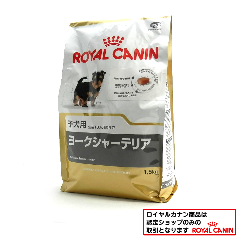 ロイヤルカナン　ヨークシャーテリア　子犬