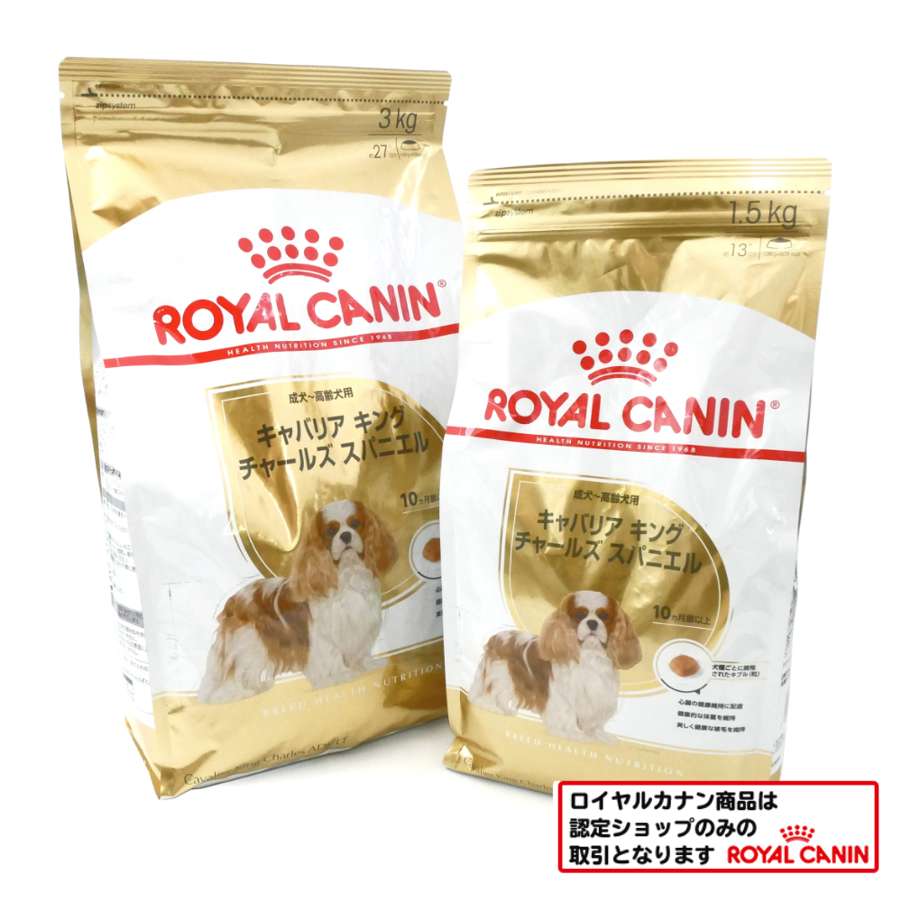 ロイヤルカナン　キャバリア　成犬・高齢犬
