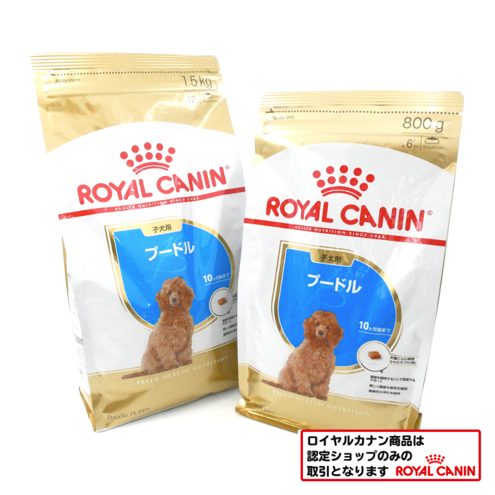 ロイヤルカナン　プードル　子犬