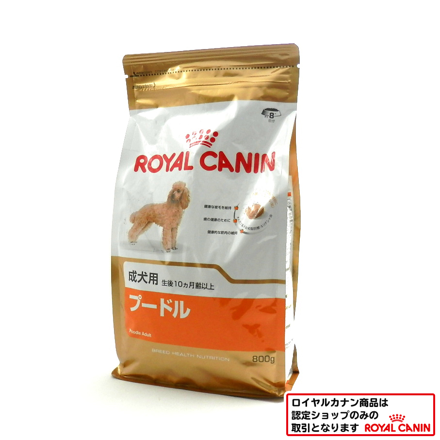 ロイヤルカナン　プードル　成犬
