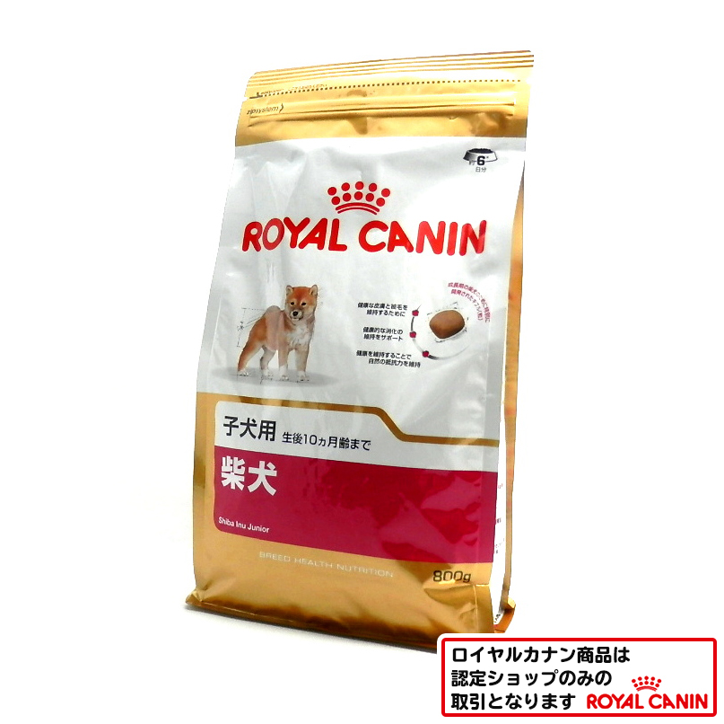 ロイヤルカナン　柴犬　子犬