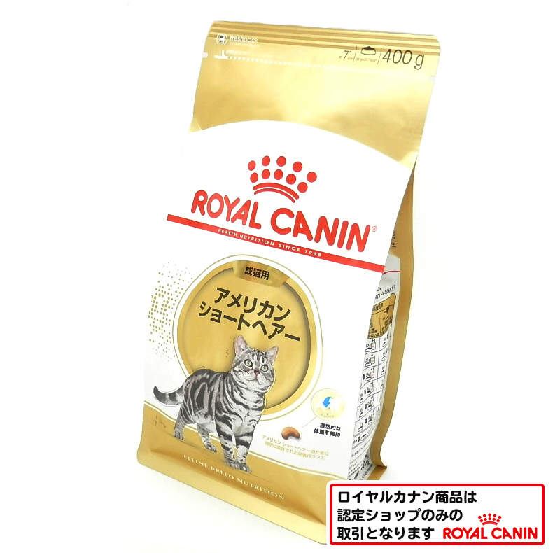 ロイヤルカナン　アメリカンショートヘアー