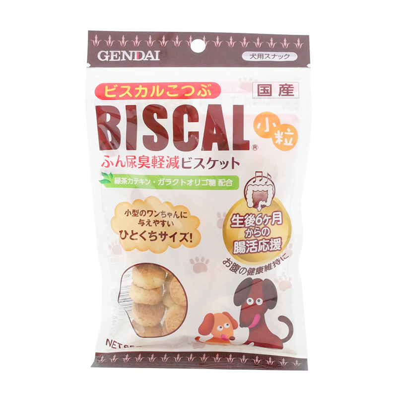 現代製薬　ビスカル小粒