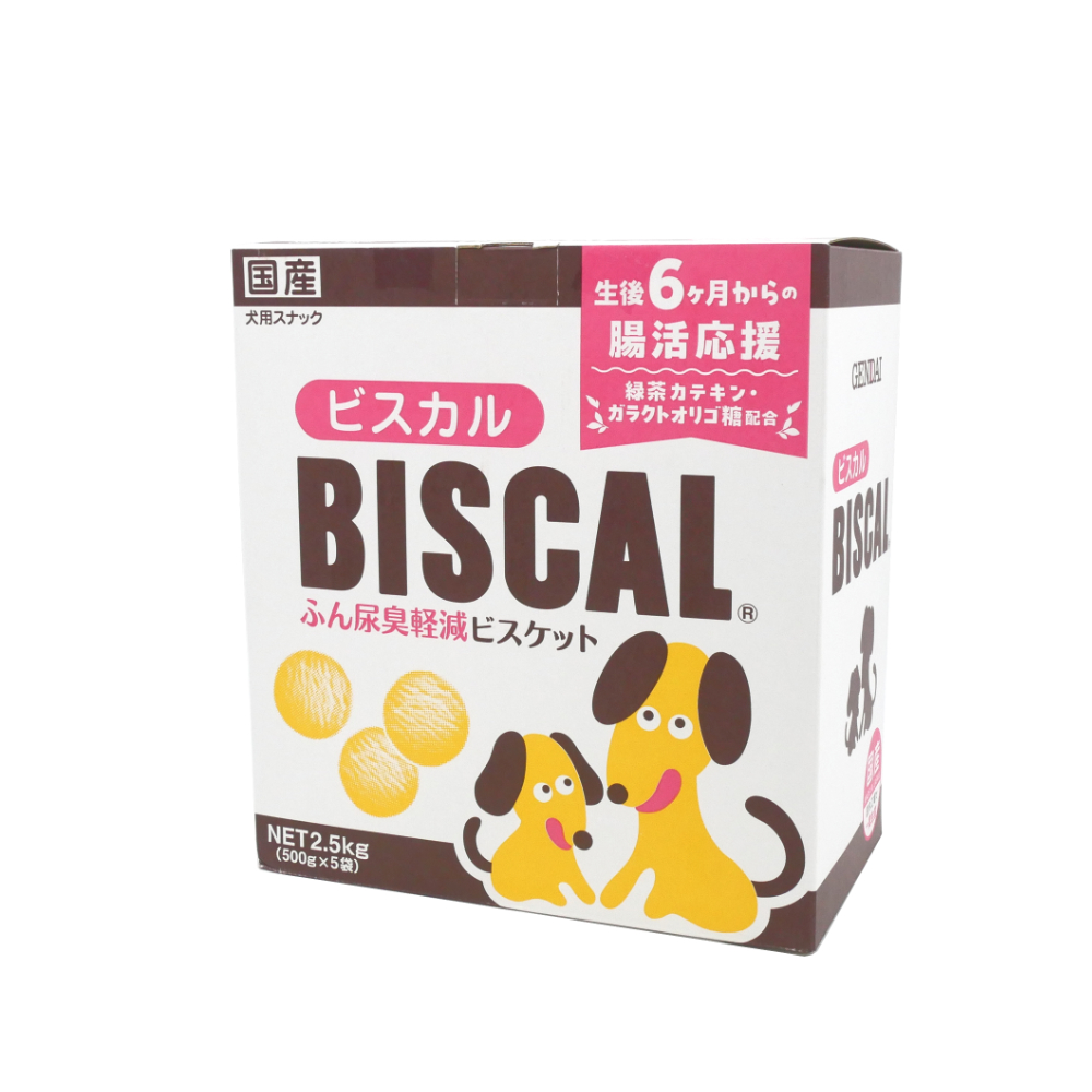 現代製薬　ビスカル