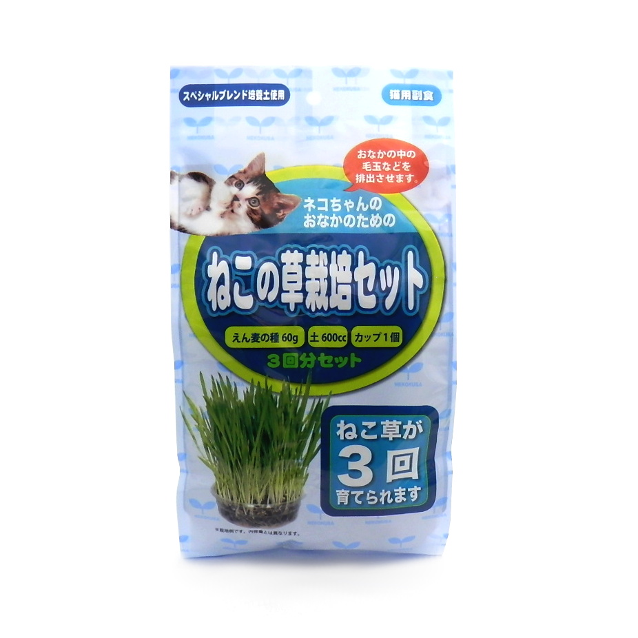 アラタ　ねこの草栽培セット　３回分【ケース取寄品】