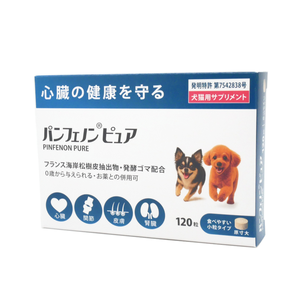 トーラス　パンフェノンＲ　ピュア