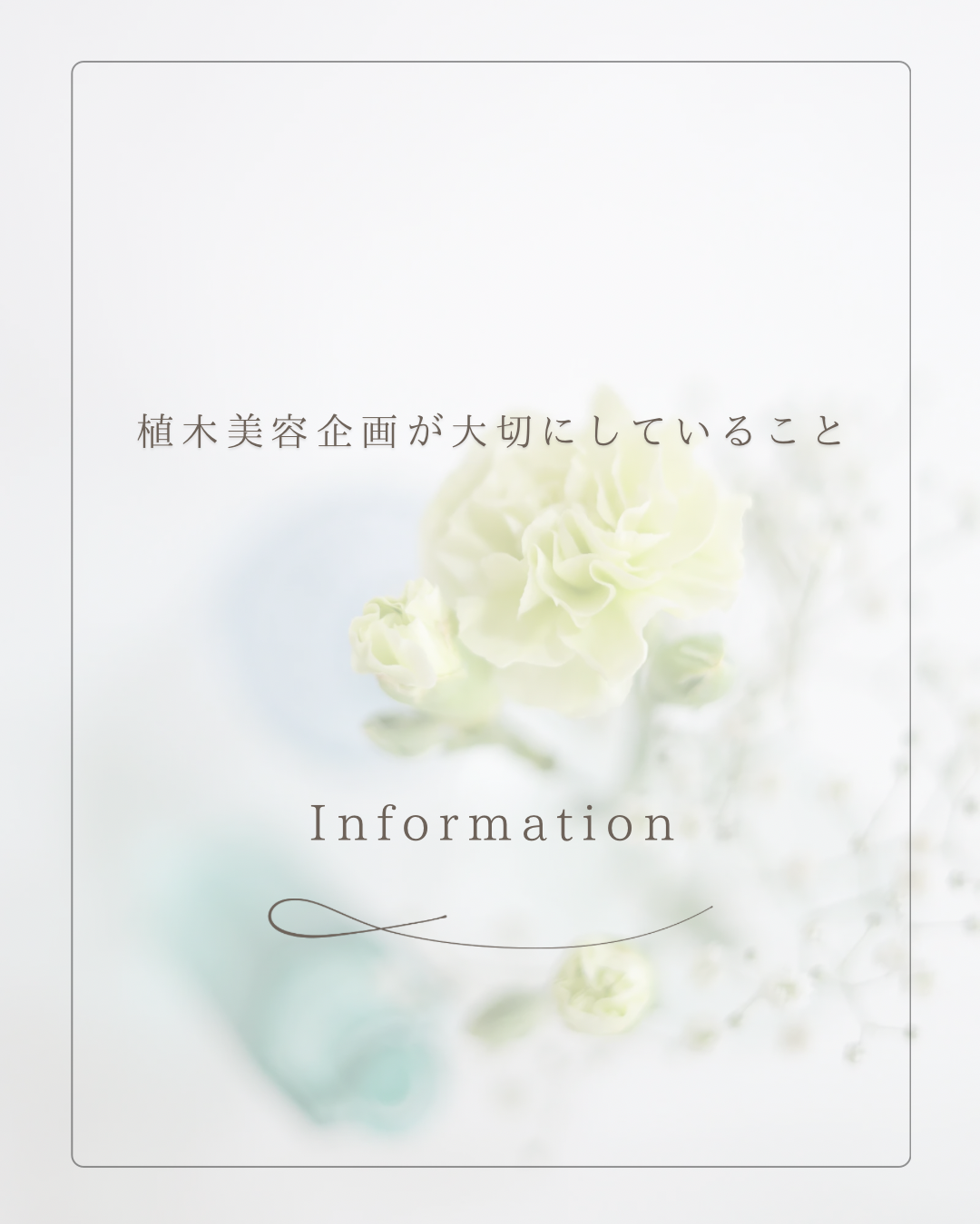 植木美容企画から仕入れる意味