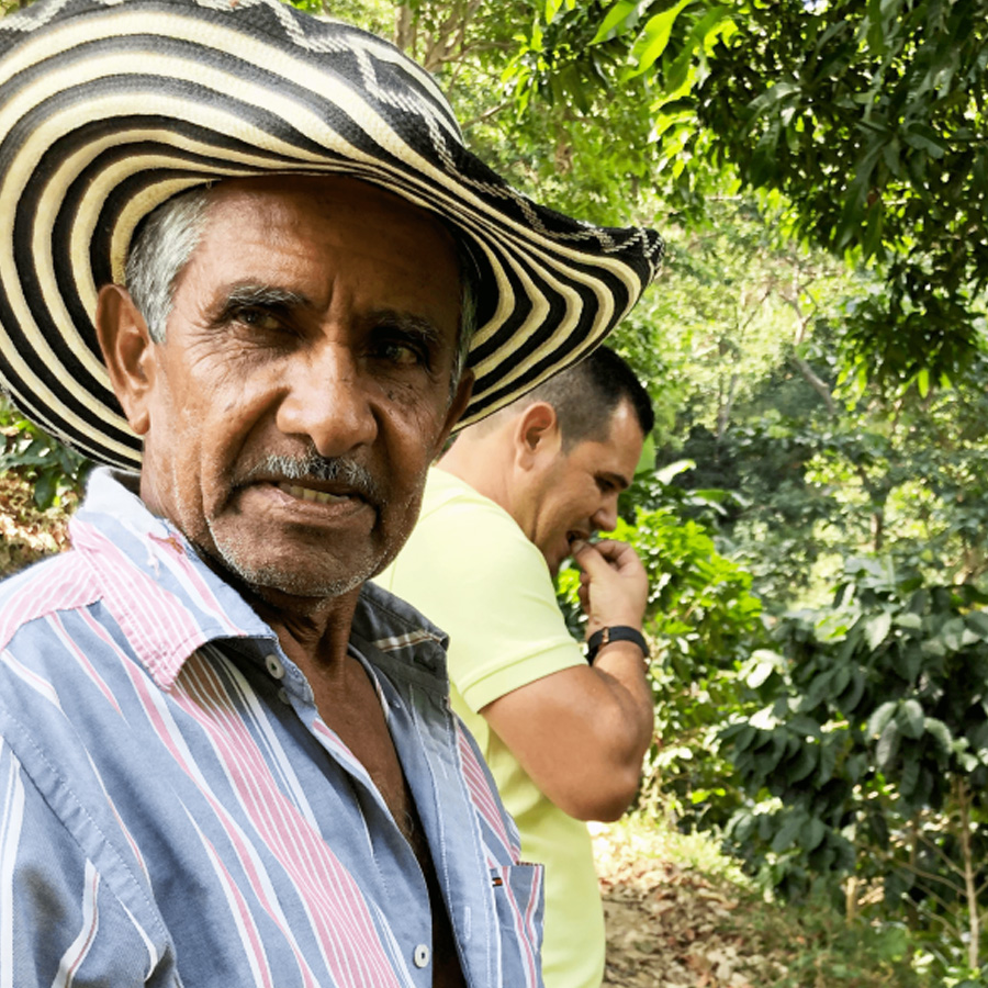 【JAS認証】コロンビア シエラネバダ ラ・ミエル ウォッシュ スプレモ