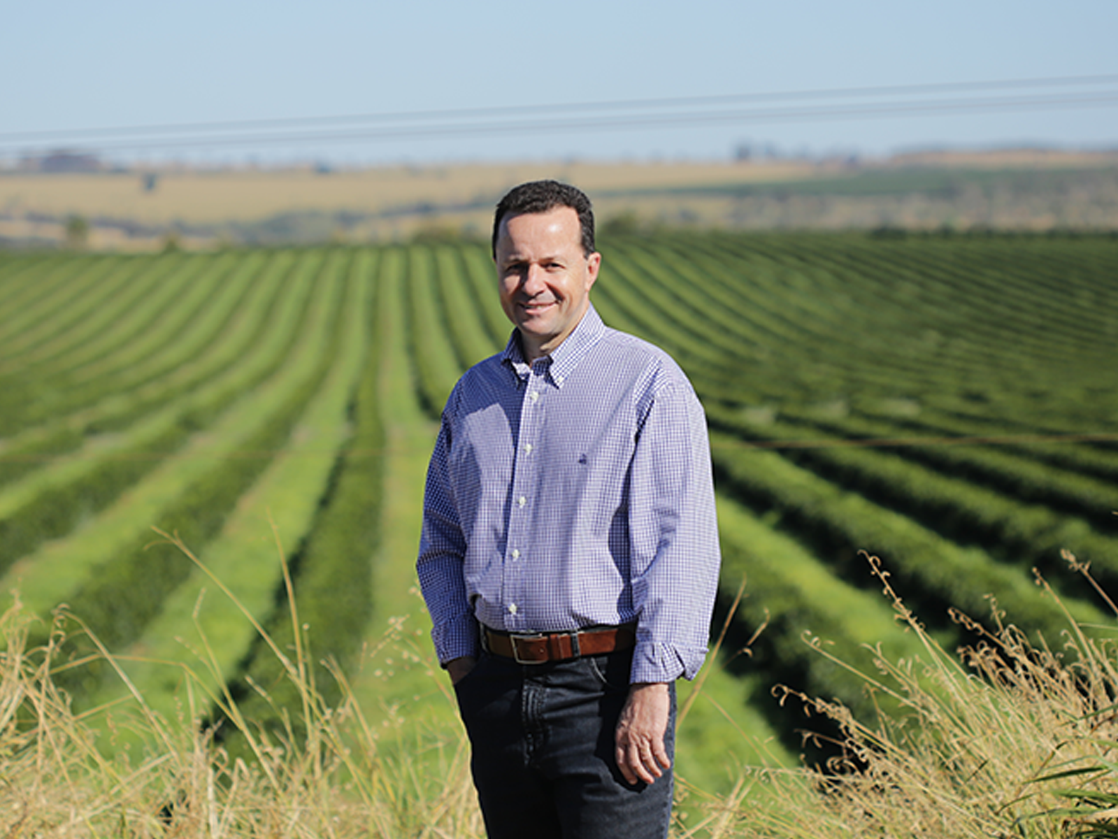ブラジル 緑のセラード モンテカルメロ農園 ナチュラル No.2【脱炭素プロジェクト】