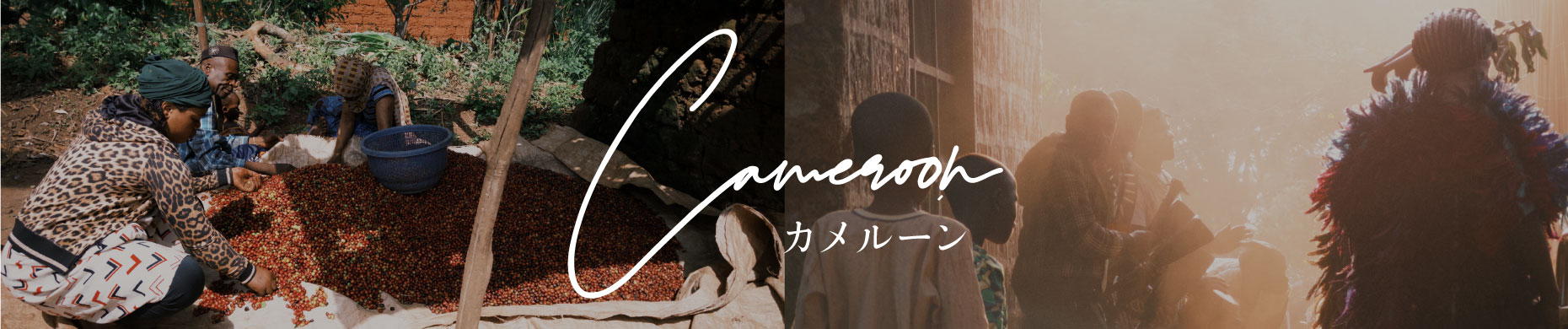カメルーン