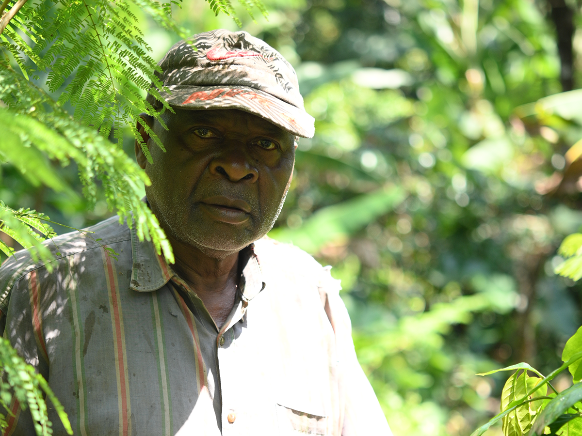 カメルーン ンベサ ジャバ ウォッシュ G1