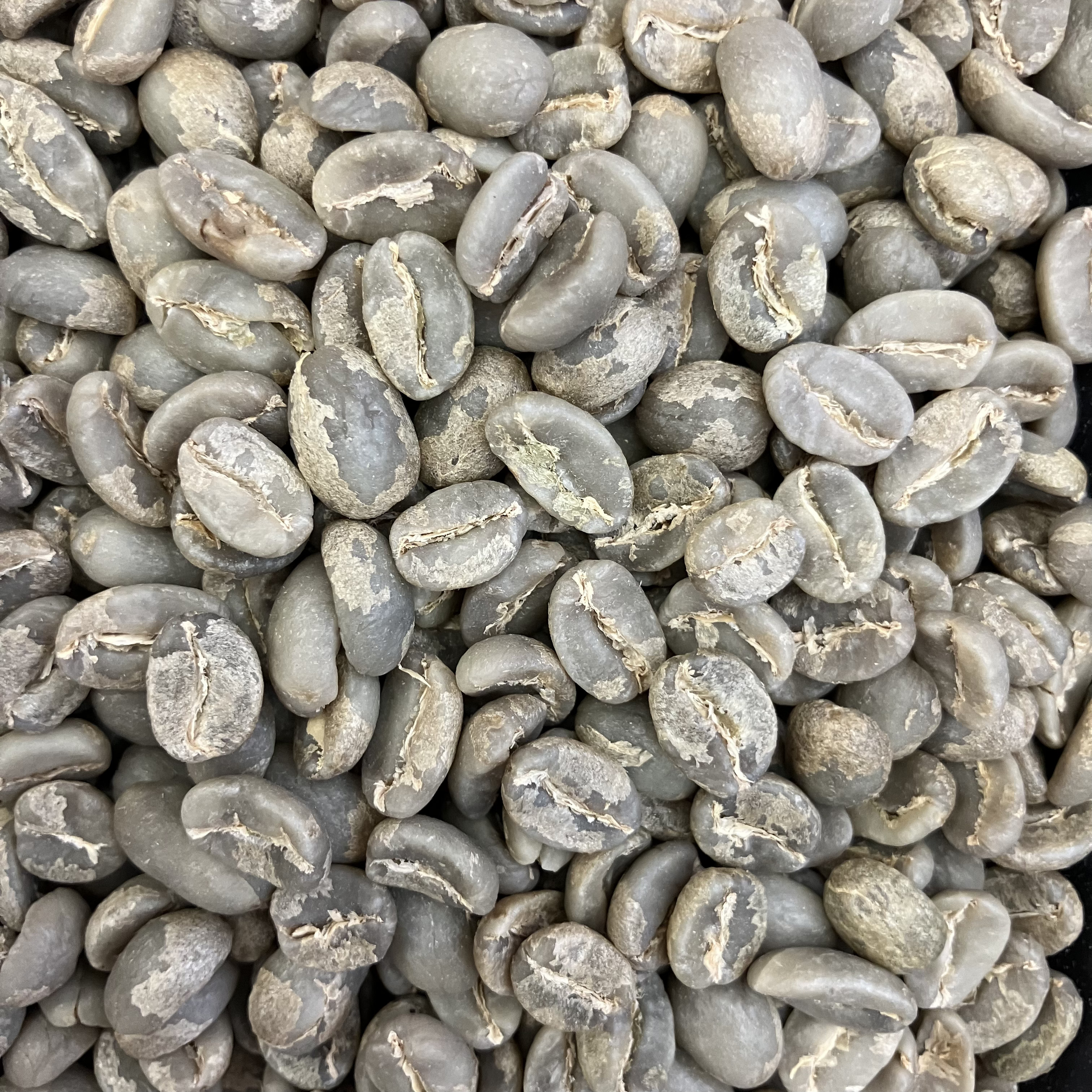 beans