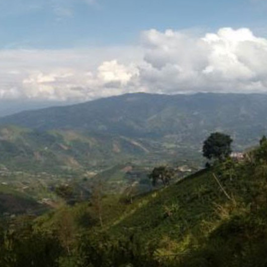 Leira