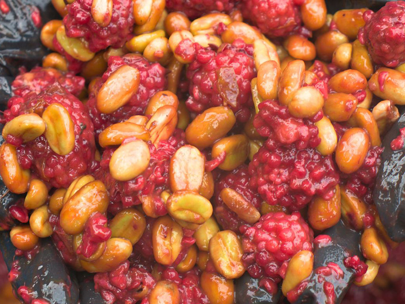 コロンビア キンディオ インフューズド ブラックベリー ハニー