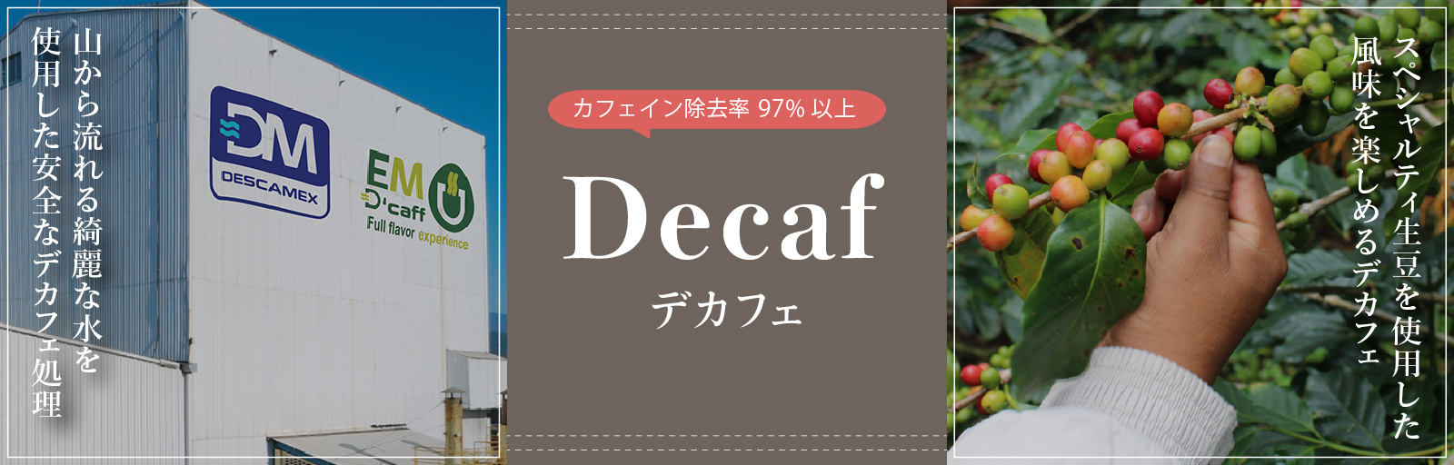 デカフェ（カフェインレス）