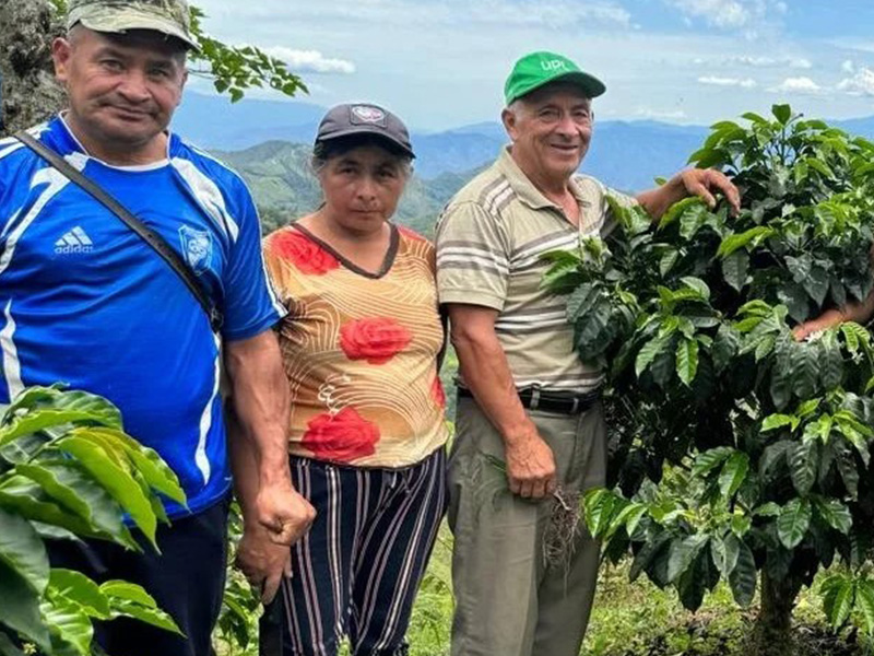 エクアドル アンデスマウンテン ティピカ ウォッシュ