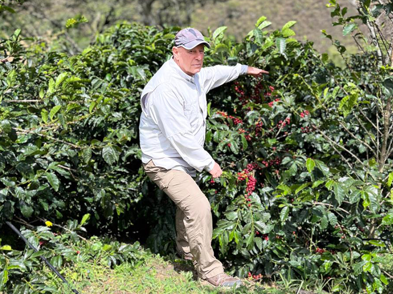 エクアドル エル・ドラド農園 ウシュウシュ エクストラファーメンテッド アナエロビックウォッシュ