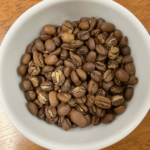 ガチオ エチオピア カッファ マザーツリー ボンガ ウォッシュ G1 生豆 | 海ノ