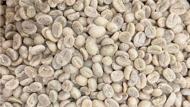 beans