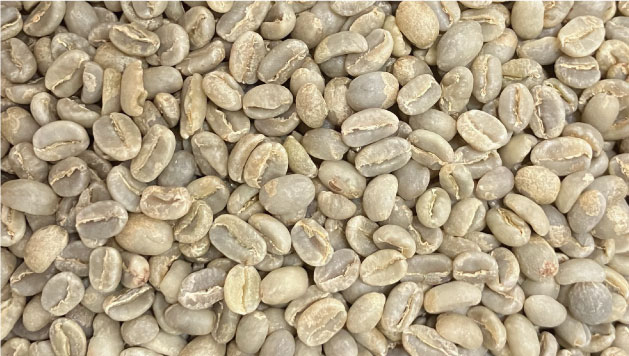 beans
