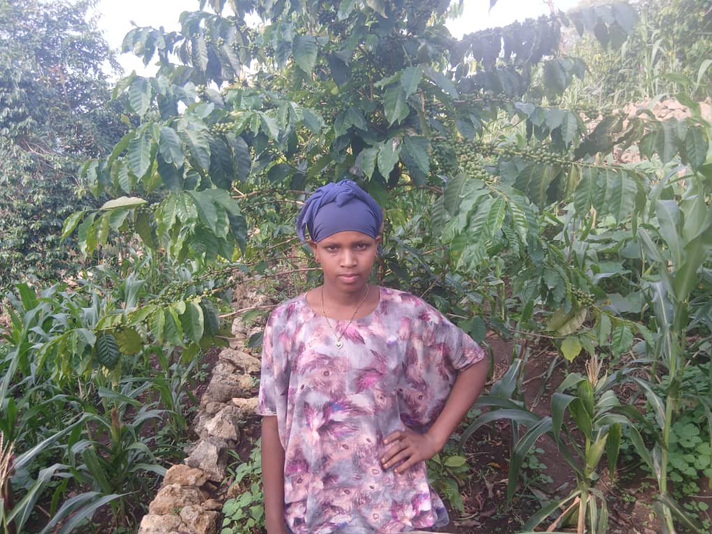 エチオピア ハラー デデール ナチュラル G3