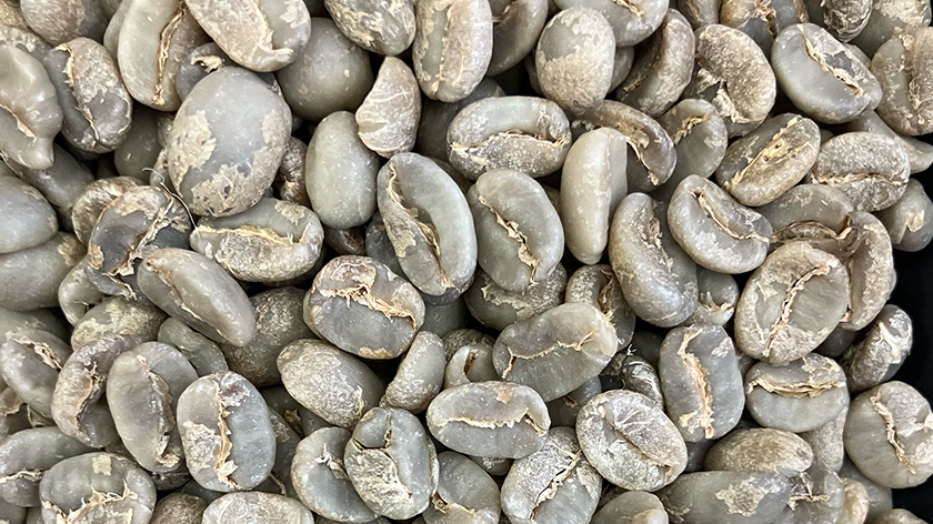 beans