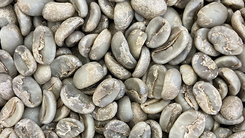 beans