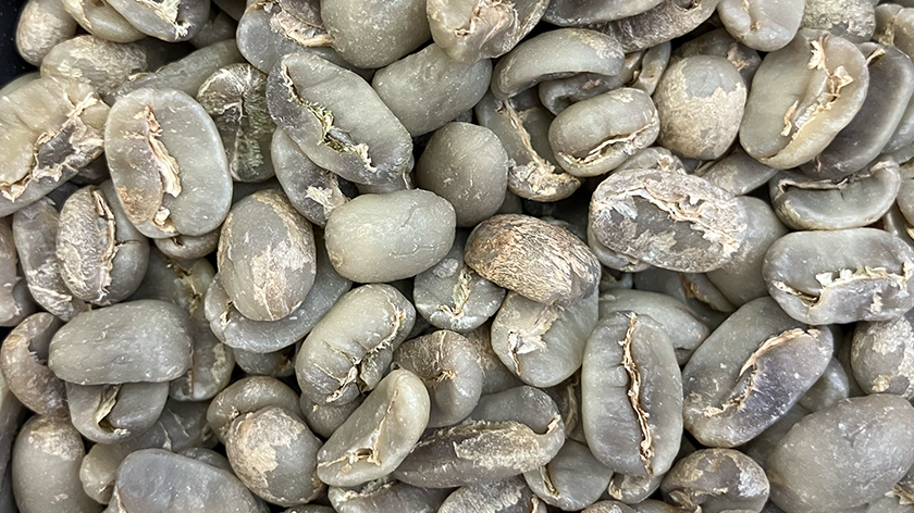 beans