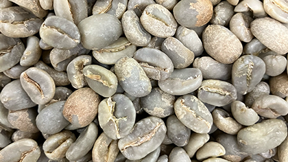 beans