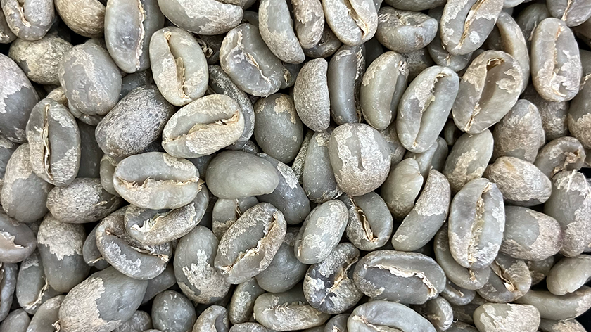 beans