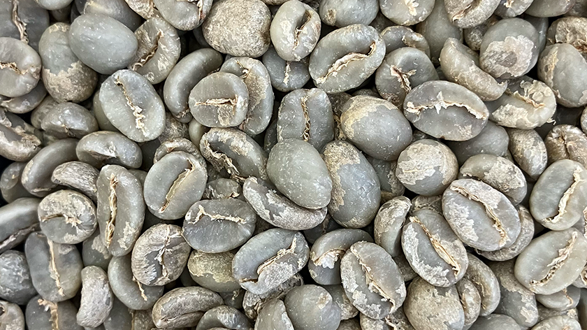 beans