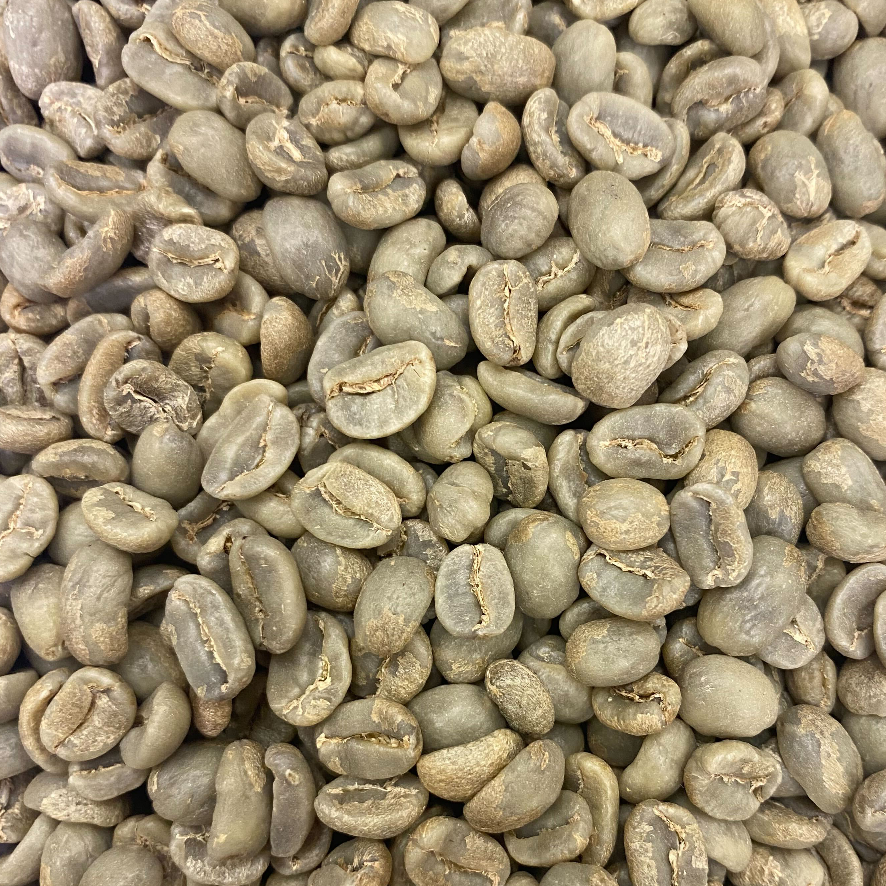 beans