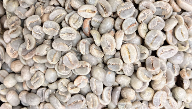 beans