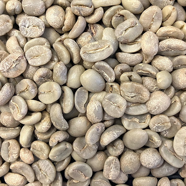beans