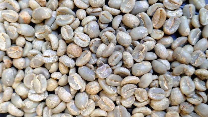 beans