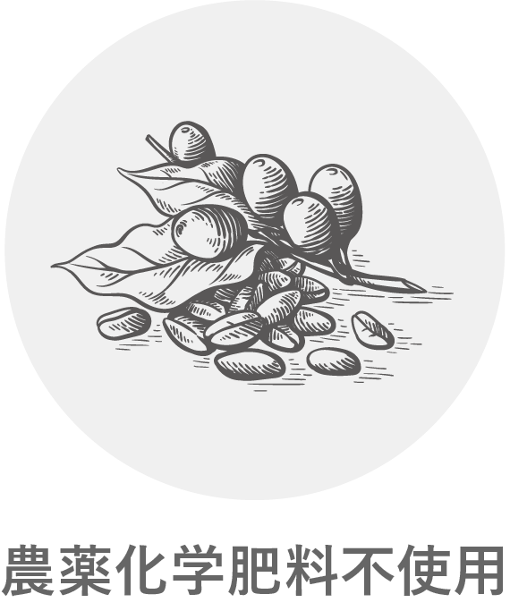 農薬化学肥料不使用