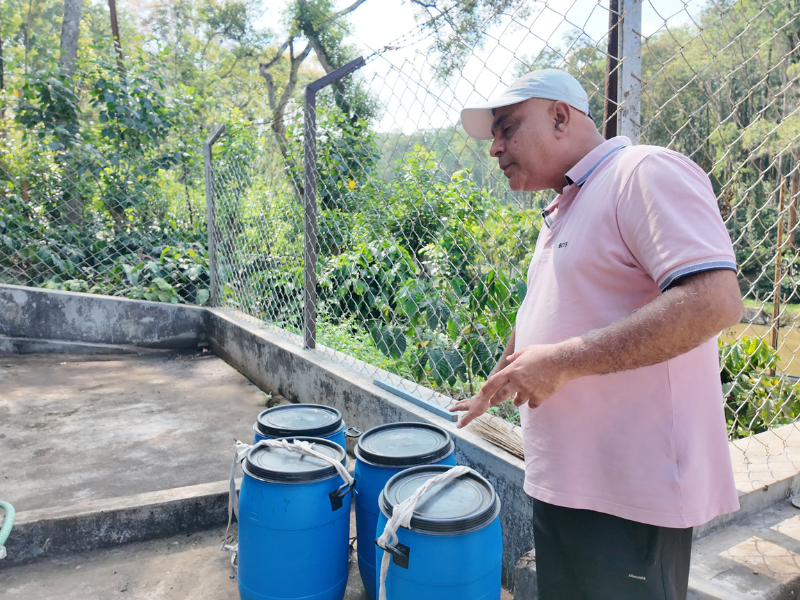 インド パパクチ農園 ロブスタ アナエロビック ハニー A