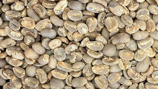 beans
