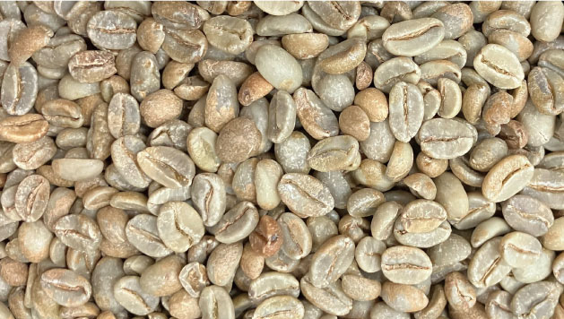 beans