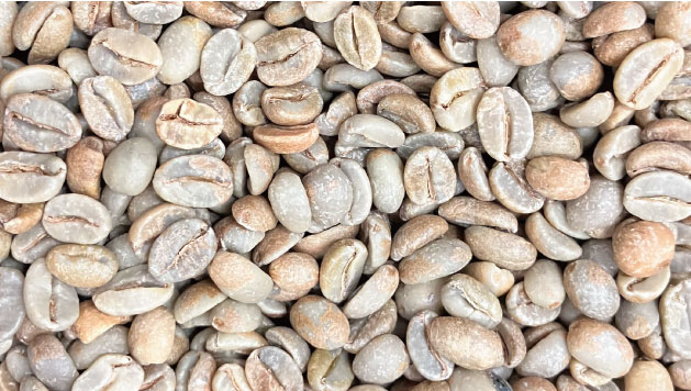 beans