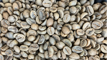 beans