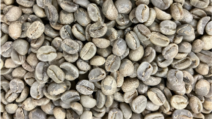 beans