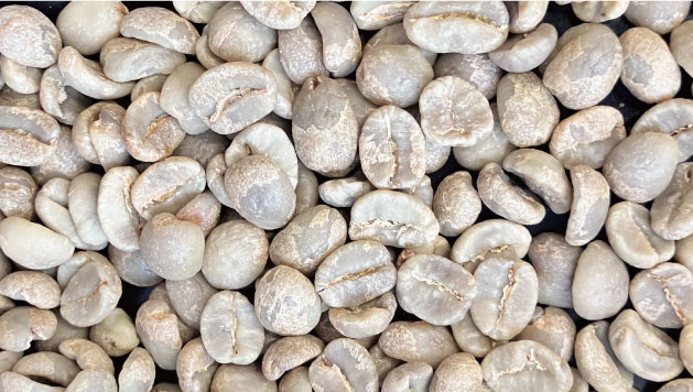 beans