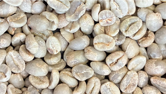 beans