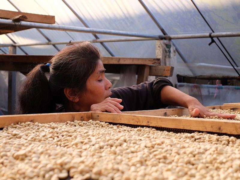 タイ クンラオ スリさん アナエロビック ウォッシュ